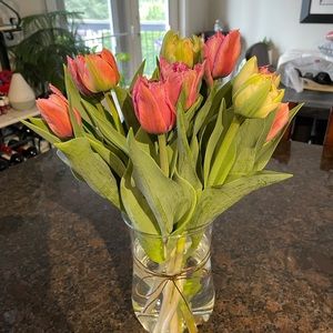 Meet your Posher, Teresa